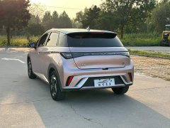 BYD Dolphin 405km Fashion Edition - ფოტო 4