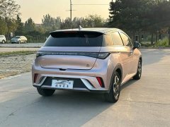 BYD Dolphin 405km Fashion Edition - ფოტო 6