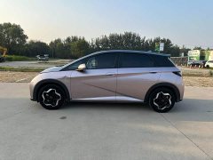 BYD Dolphin 405km Fashion Edition - ფოტო 7