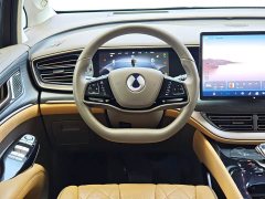 Denza D9 2022 DM-i 970 AWD Flagship - ფოტო 19