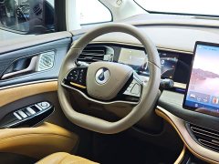 Denza D9 2022 DM-i 970 AWD Flagship - ფოტო 20