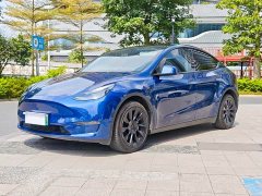 Tesla Model Y Long Range All-Wheel Drive - ფოტო 1