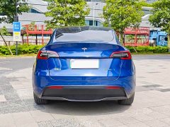 Tesla Model Y Long Range All-Wheel Drive - ფოტო 2