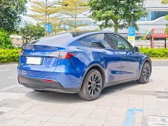 Tesla Model Y Long Range All-Wheel Drive - ფოტო 3