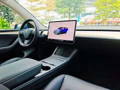Tesla Model Y Long Range All-Wheel Drive - ფოტო 9