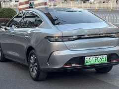 BYD Destroyer 05 Champion Edition DM-i 55KM Luxury - ფოტო 7