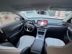 BYD Destroyer 05 Champion Edition DM-i 55KM Luxury - ფოტო 9