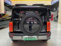 Haval Manlong New Energy 2026 Hi4 200 Ultra Pilot Edition Ternary Lithium - ფოტო 5