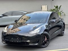 Tesla Model 3 Standard Range RWD Upgrade - ფოტო 1