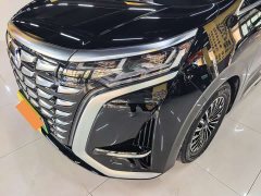 Denza BYD Denza D9 DM-i 980 Four-Wheel Drive Premium - ფოტო 14