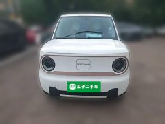 Geely Panda mini 200km Longteng PRO Edition - ფოტო 2