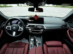 BMW 5 Series 530Li Luxury M Sport Package - ფოტო 3