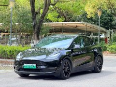 Tesla Model Y 2021 Performance All-Wheel Drive - ფოტო 1