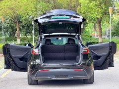 Tesla Model Y 2021 Performance All-Wheel Drive - ფოტო 15