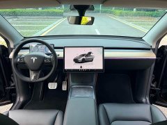 Tesla Model Y 2021 Performance All-Wheel Drive - ფოტო 16