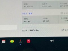 Tesla Model Y 2021 Performance All-Wheel Drive - ფოტო 18