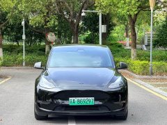 Tesla Model Y 2021 Performance All-Wheel Drive - ფოტო 2