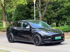 Tesla Model Y 2021 Performance All-Wheel Drive - ფოტო 3