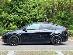 Tesla Model Y 2021 Performance All-Wheel Drive - ფოტო 5