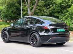 Tesla Model Y 2021 Performance All-Wheel Drive - ფოტო 6