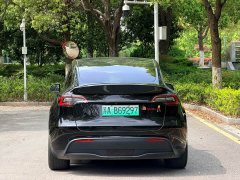 Tesla Model Y 2021 Performance All-Wheel Drive - ფოტო 7