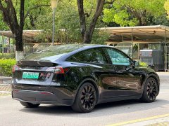 Tesla Model Y 2021 Performance All-Wheel Drive - ფოტო 8