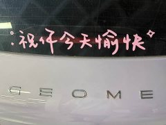 Geely Star Wish 410km Explorer Edition - ფოტო 10