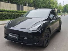 Tesla Model Y 2022 Rear-Wheel Drive - ფოტო 1