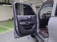 Tank 300 Off-Road Edition 2.0T Challenger - ფოტო 7
