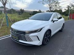 BYD Destroyer 05 Champion Edition DM-i 120KM Luxury - ფოტო 1