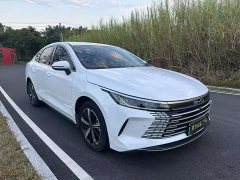 BYD Destroyer 05 Champion Edition DM-i 120KM Luxury - ფოტო 3