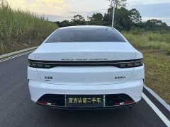 BYD Destroyer 05 Champion Edition DM-i 120KM Luxury - ფოტო 6
