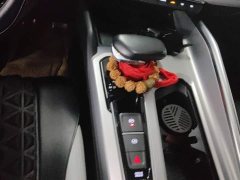 Geely Xingrui 2.0T Diesel Premium Edition - ფოტო 16