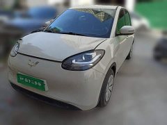 Wuling Binguo 203km Light Enjoy Edition - ფოტო 1