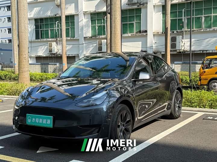 Tesla Model Y Rear-Wheel Drive - ავტომობილი ჩინეთიდან