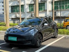 Tesla Model Y Rear-Wheel Drive - ფოტო 1