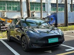 Tesla Model Y Rear-Wheel Drive - ფოტო 11