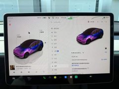 Tesla Model Y Rear-Wheel Drive - ფოტო 13