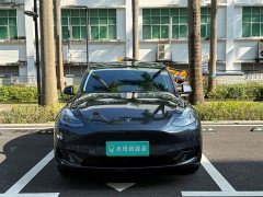 Tesla Model Y Rear-Wheel Drive - ფოტო 2