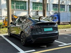 Tesla Model Y Rear-Wheel Drive - ფოტო 6