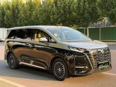 Denza D9 2022 DM-i 970 AWD Flagship - ფოტო 3