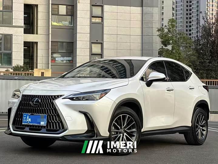 Lexus NX 2022 260 FWD Creative Edition - ავტომობილი ჩინეთიდან