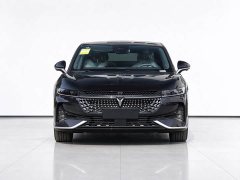 Voyah Lantu Zhaoguang 2024 PHEV AWD Ultra-Long Range Flagship - ფოტო 2