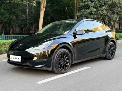 Tesla Model Y Long Range All-Wheel Drive - ფოტო 1