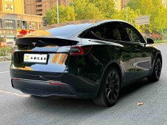 Tesla Model Y Long Range All-Wheel Drive - ფოტო 10