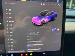Tesla Model Y Long Range All-Wheel Drive - ფოტო 18