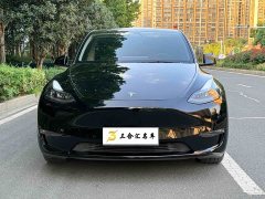 Tesla Model Y Long Range All-Wheel Drive - ფოტო 2