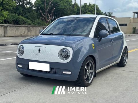 2021 ORA Black Cat 351km Standard - ავტომობილი ჩინეთიდან
