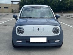 ORA Black Cat 351km Standard - ფოტო 2