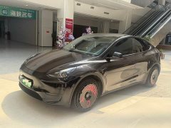 Tesla Model Y Rear-Wheel Drive - ფოტო 1